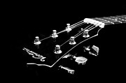 Andee Photography - Guitar Ventura Head Stock 1