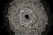 Andee Photography - Eye of the Storm in Lace