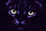 Andee Photography - Eyes Straight To the Heart