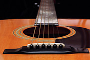 Andee Photography - Guitar 12