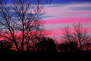 Andee Photography - Striped Sky